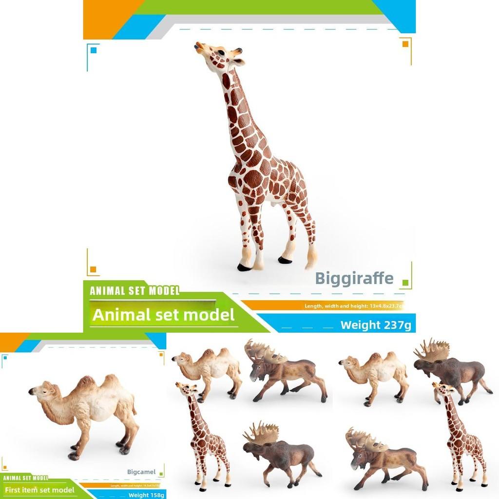 Wildlife Animal Model Set Pvc Camel Giraffe Educational Collectible For Kids Nature Learning