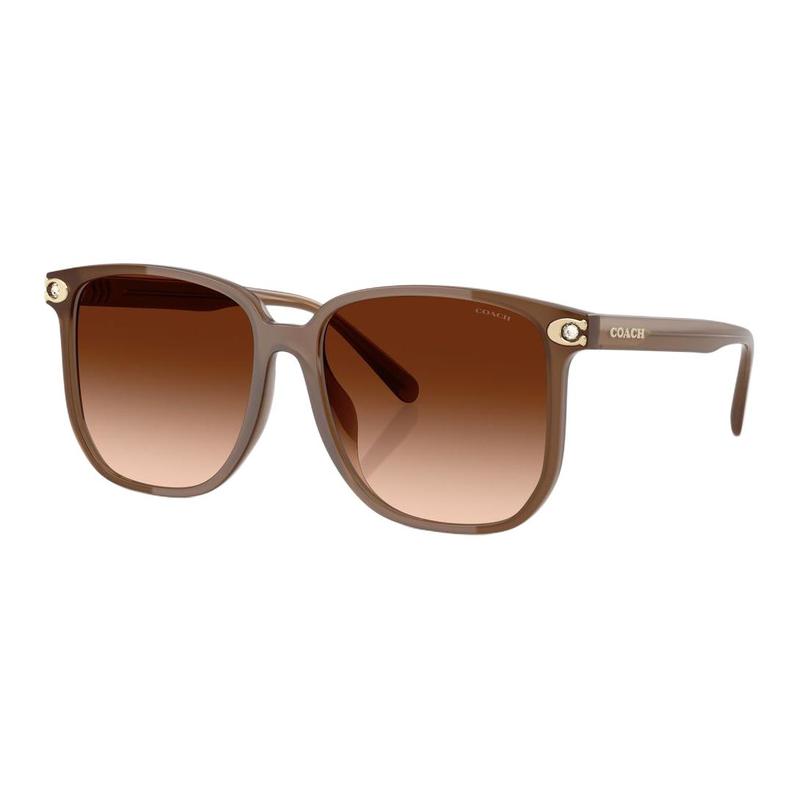 COACH [Available prescriptions] Fashionable and versatile, square sunglasses, same style for men and women, couple style коричневый