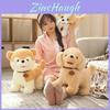 Adorable Plush Siberian Husky And Shiba Inu Stuffed Toy Perfect For Kids And Collectors