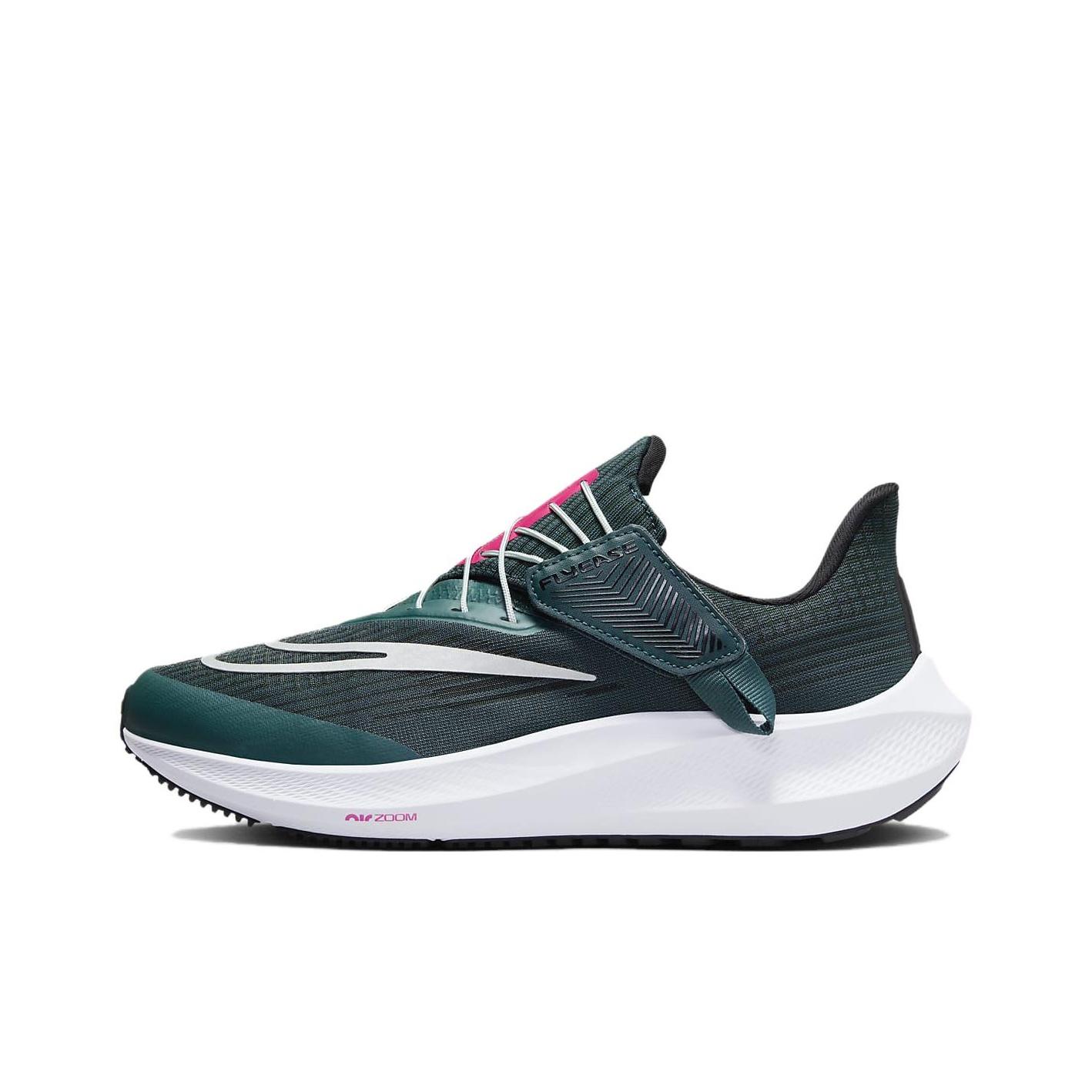 

кроссовки Nike Pegasus FlyEase Running shoes Women DJ7383-301