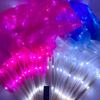 Long Imitation Rayon LED Classical Dance Fan 1.5m Dancer Practice Silk Fans  Dance Accessories