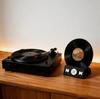 Creative 3D Printed Desktop Record Display Stand, Dual-Purpose CD & Vinyl Storage Organizer, Modern Home Table Decoration