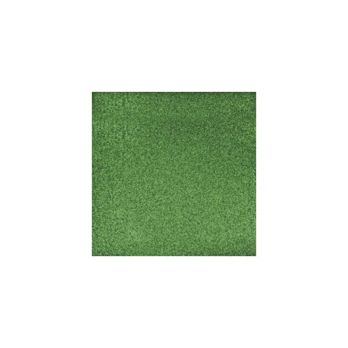 Papier Vert éternel Poudre paillettes 200 g/m² 30,5 cm