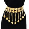 Elegant Double Layer Coin and Tassels Dance Belt Suitable for Stage Performances and Casual Looks Styles Daily Use