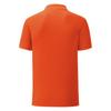 FRUIT OF THE LOOM Mens Iconic Polo Shirt