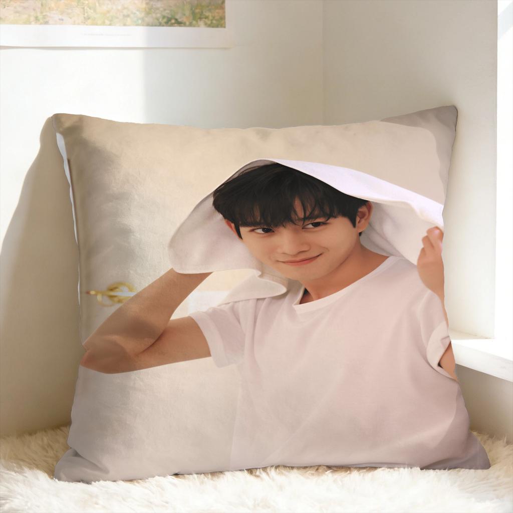 Y-Young-dae Kim Pillow Case Design Pillow Cover For Sofa Bedroom Home Decor Kawaii Pillowcases