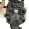 Handmade Cute Cat Pipe Cleaner Ornament & Gift Pack