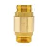 1 Inch Heavy Duty Check Valve - Bronze Backflow Preventer for Well Pump, Water Tank & Plumbing, Horizontal Flow One-Way Valve, Corrosion Resistant