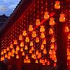 Solar-Powered Red Lantern String Lights - New Year Decoration with Blessing Characters