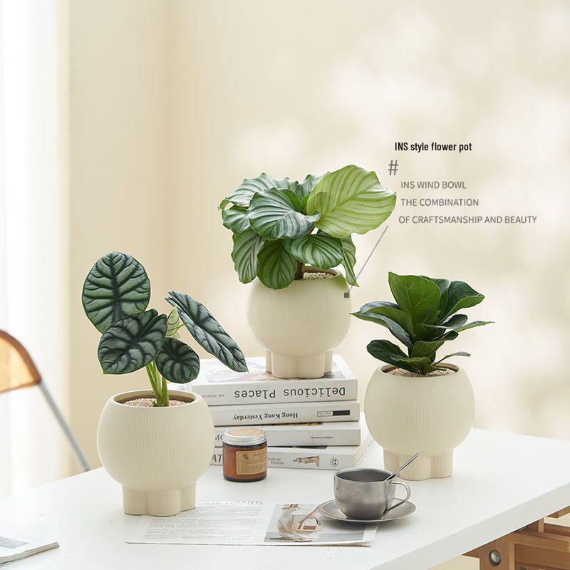 Retro High-Leg Ceramic Flower Pot for Phalaenopsis, Green Radish, and Spider Plant in Cream Style
