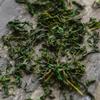 Jauna tēja Zieds Zāļu tēja Mazlapu Kuding Tea Qingshanlvshui