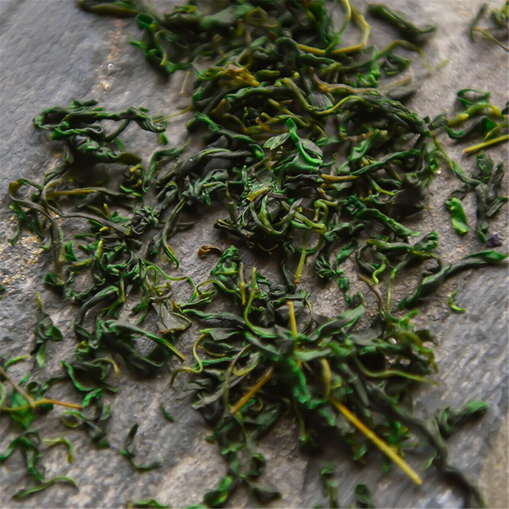 Jauna tēja Zieds Zāļu tēja Mazlapu Kuding Tea Qingshanlvshui