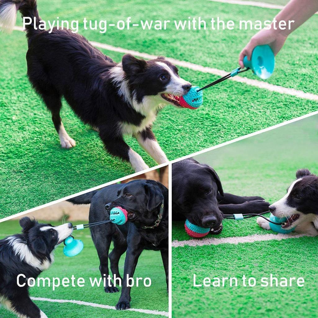 Interactive Dog Toys Tug of War Ball In Red and Turquoise for Large Breed Dogs - Mentally Stimulating Teething Toy