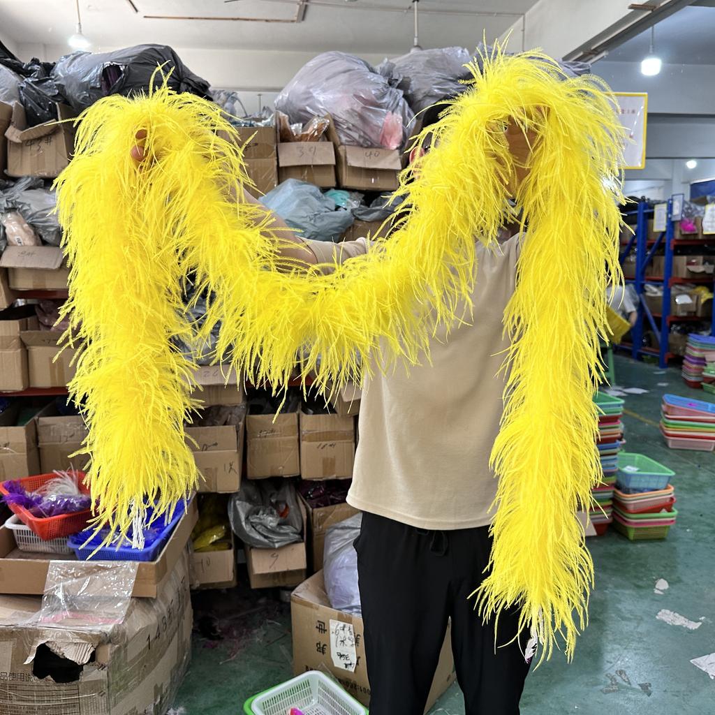 DIY 1/2/3/6/10 Ply Natural White Ostrich Feathers Boa Trim for Craft Wedding Party Festival Clothing Decoration Plumes Shawl 2M