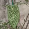 Yousheng Leaf Shape Hand Towel Double-Sided Hanging Towel Lint-free Absorbent Leaf Towel with Hanging Loop for Kitchen Bathroom Use