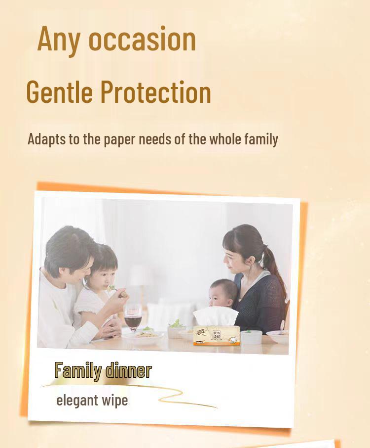 Gentle Breeze 4-Ply Facial Tissues, 100 Sheets/Pack, 12-Pack, M Size