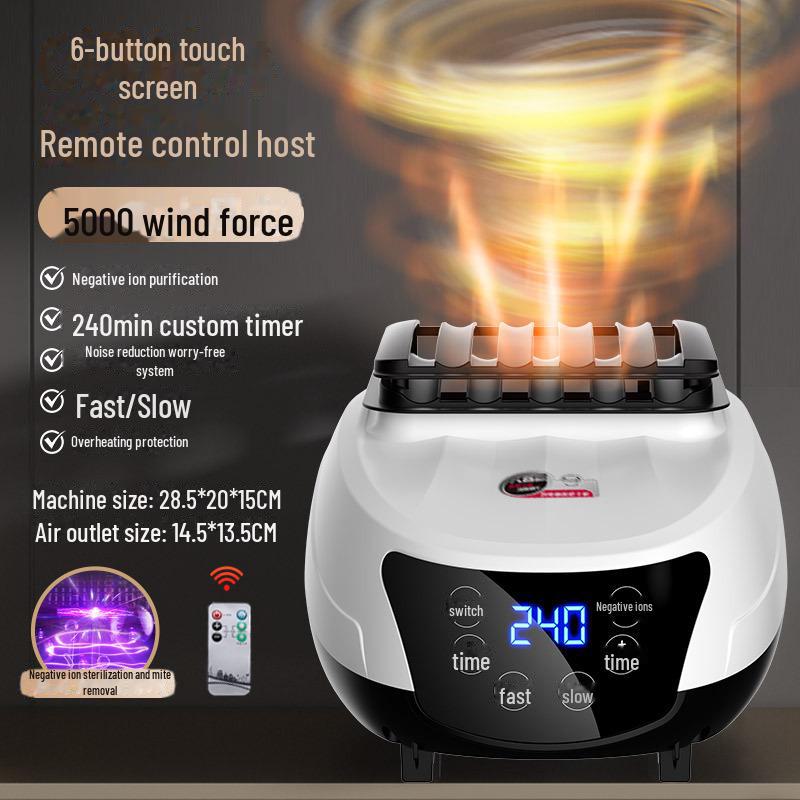 Household Shoe and Head Dryer Heater with Accessories