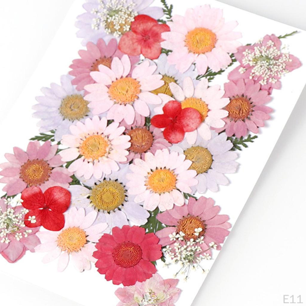 Dried Flowers DIY Decorative for Resin Jewelry Making Crafts Nail Stickers