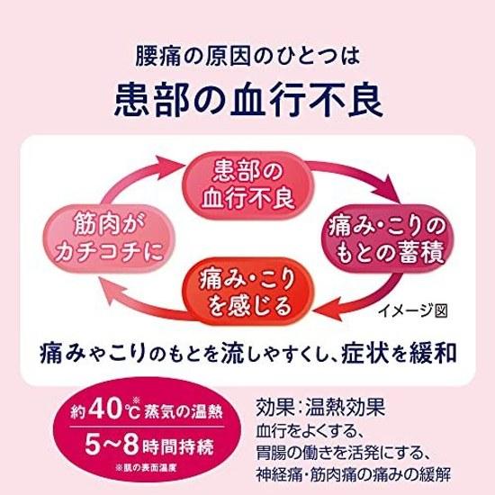 Megurizumu Steam Heat Sheet Type Stick on Inner Side Underwear 5 Sheets x 2 Sets + Bonus Included