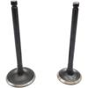 Intake & Exhaust Valve Kit for Hisun HS 500CC ATV/UTV - 1PC Each Replacement ERP Codes P002000147110000 & P002000147210000