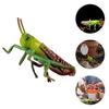 2Pcs Cartoon Locust Statue Vivid Animal Toys Creative Locust Animal Model  Garden