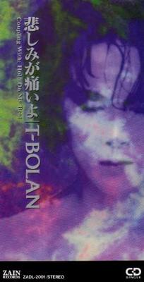 CD T-BOLAN, ARASHI MORITOMO; MASAFUMI  - Kanashimigaitaiyo  ZADL2001 Japan Japanese Pop/Rock Used