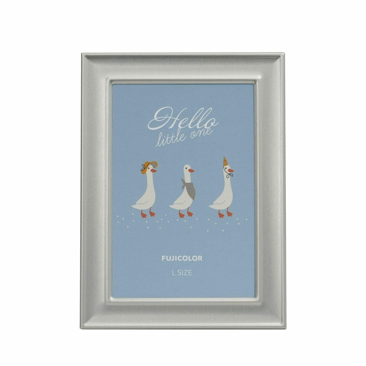 

FUJICOLOR Metal Color Frame 3501L Silver L Size 507236 (large)