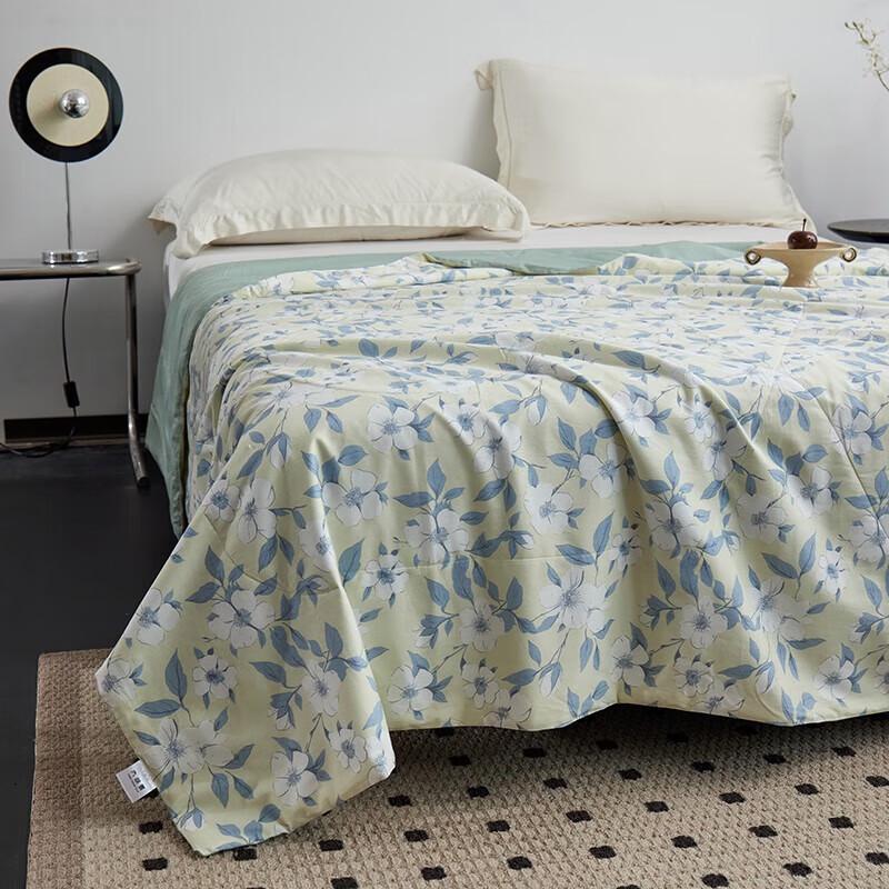 Taihu Snow Tussah Silk & Cool Fiber Quilt