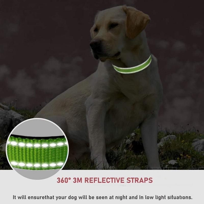 Collars for Dogs Choker Small Dog Collar Puppy Neck Collar Big Decorative Dog Collar GXQ07