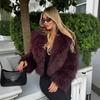 ZA European and American women's clothing autumn and winter new fashion versatile fur artificial curly hair fashion coat