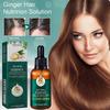 Ginger Hair Care Essential Oil, Repair Hair Follicle Soft And Luster Hair Care Essential Oil