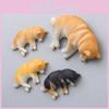 Siberian And Husky Shiba Inu Ornament Resin Refrigerator Magnet For Home Decor