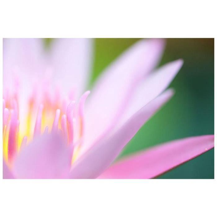 Tableau Forex XXL Lily 120 X 80 Cm