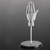 Flexible Artists Hand Model, Adjustable Hand Model For Drawing, Lively Manikin Figure Hand Model For Desk Decoration, Sketching, Drawing, Painting