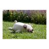 LIV HEART Bolster Cushion Marshmallow Animal Pug Hana (Total Length Approx. 27cm) Fluffy Chewy 48656-32