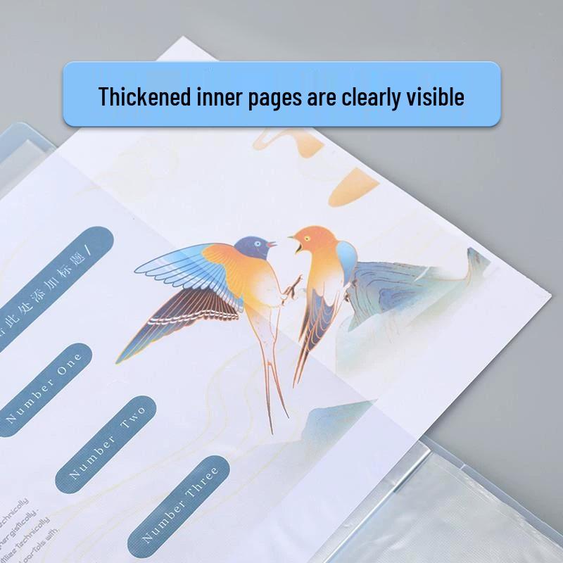 A4 Transparent Insert Folder for Candy Data, Test Paper Storage, Sheet Music, and Awards Collection.