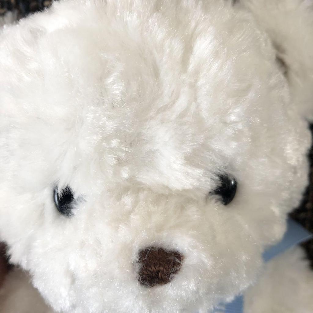 [USED] Familiar Famichan Bear Teddy Bear Plush Toy