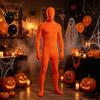 Halloween Cosplay Outfit Unisex Full Body Zentai Suit, Adults Party Solid Color Costume Bodysuit, Men Women Stretchy Spandex Unitard Bodysuit