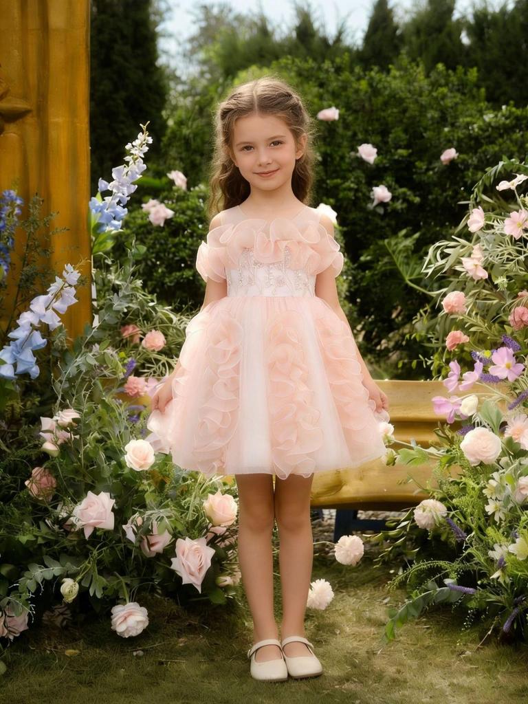 Mädchen Rüschen-Netz-Prinzessinnenkleid - Formelles Feiertags- & Klavierauftritts-Outfit