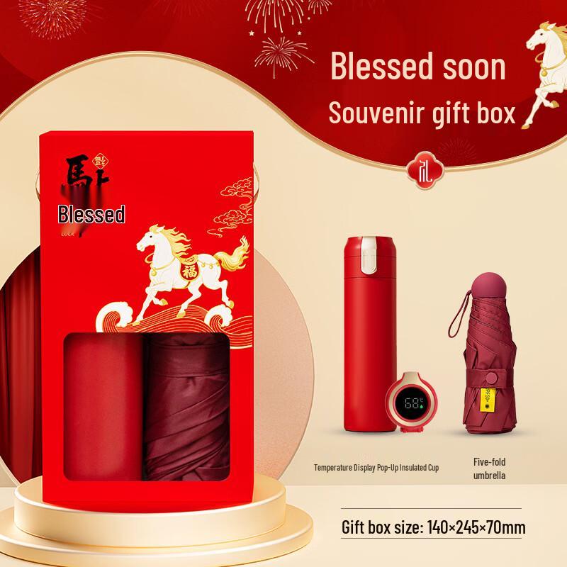Festive Stainless Steel Thermos & Umbrella Gift Set