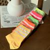 [10-Pair Set] Women's Point Neon Mid-Calf Socks