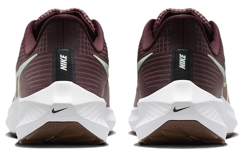 Nike Air Zoom Pegasus 39 'Canyon Rust Burgundy Crush White Mint Foam' Women's DH4072-600
