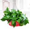 Breathable Hanging Flower Pot Triangular Design Plastic Smooth Surface Plant Pot Patio Decor