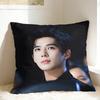 Wang Anyu Actor Pillow Case  Graphic Pillow Cover Funny Pillowcases For Sofa Home Decor
