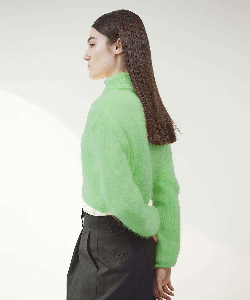 Ssikeoseun Mohair Blend Crop Knit Top - Green