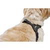 Dog Harness Hunter SOHO MINI Black XS