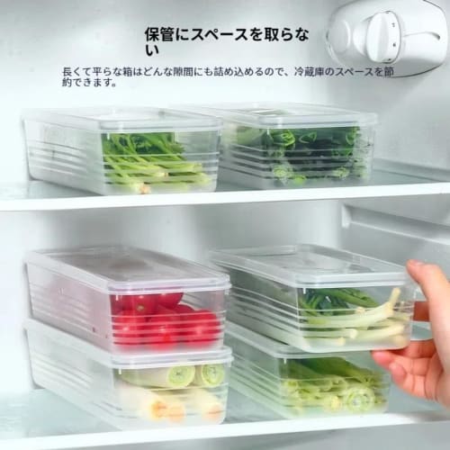 Set of 6 Vegetable Storage Containers | Refrigerator Storage for Radishes, Green Onions, and Cilantro | Airtight Transparent Boxes | Space-Saving, Sta