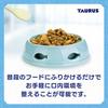 Torus Toothbrush Rakuya 25g