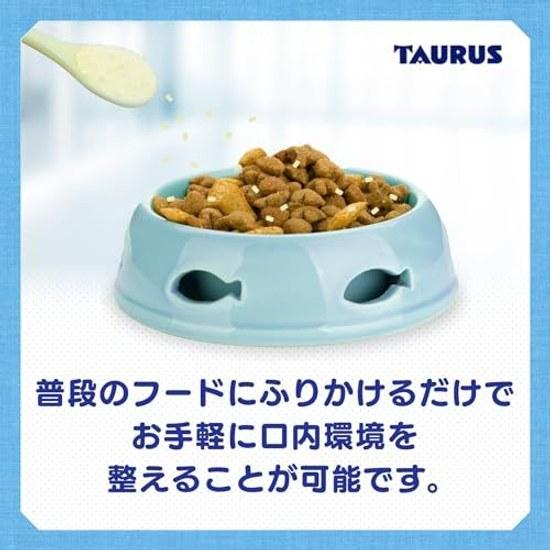 Torus Toothbrush Rakuya 25g