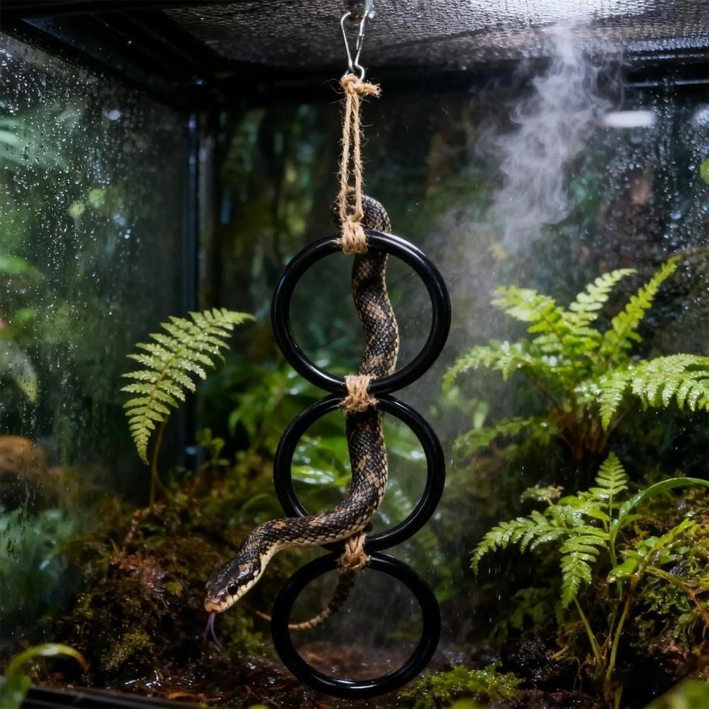 3 Ring Reptile Climbing Toy Acrylic Climbing Hoop Chain Gecko Climbing Rings  Vivarium Cage